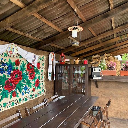 فيلا Casa Ani Borşa المظهر الخارجي الصورة