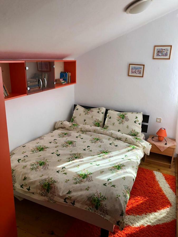 فيلا Casa Ani Borşa المظهر الخارجي الصورة